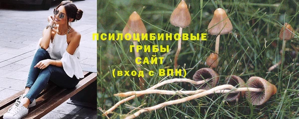 МДПВ Абаза