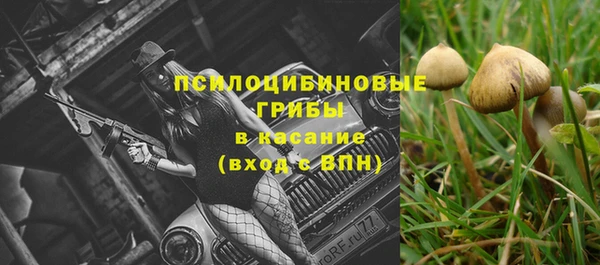 МДПВ Абаза
